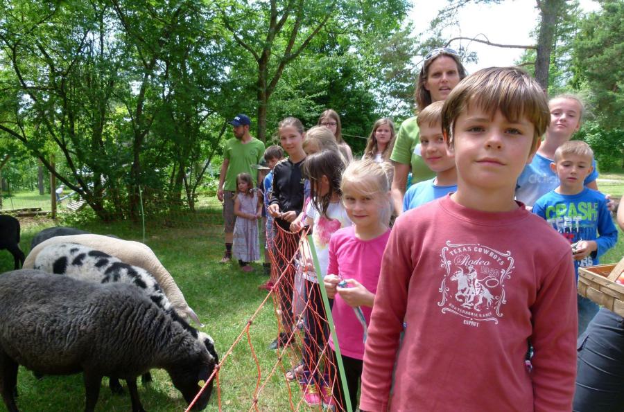 Erlebnistag für kinderreiche Familien 17 Juni 2017 Burg Feuerstein